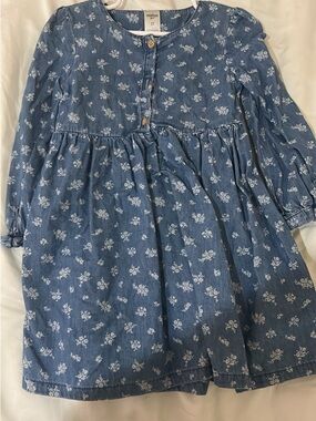 OshKosh B'gosh blue floral button-front long sleeve dress